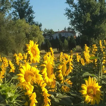 Les Pignons * Roquebrune